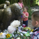 Image for article titled Outraged Gorilla-Lovers Are Threatening the Wrong Michelle Gregg on Facebook